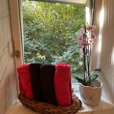 Aurora * バート・シャンダウ