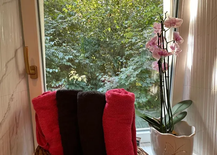 Aurora * באד שאנדאו